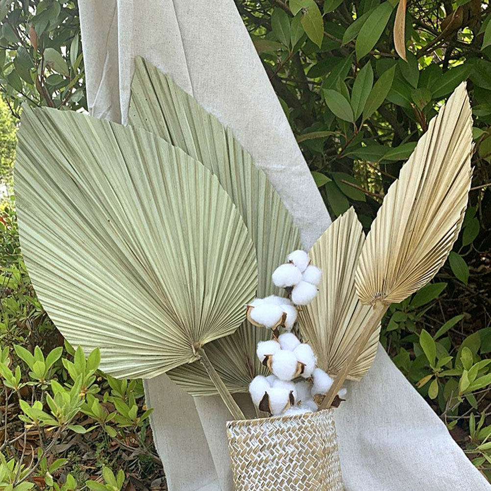 Palm Leaf Dried - 1Pcs Natural Dried Palm Leaf Decor