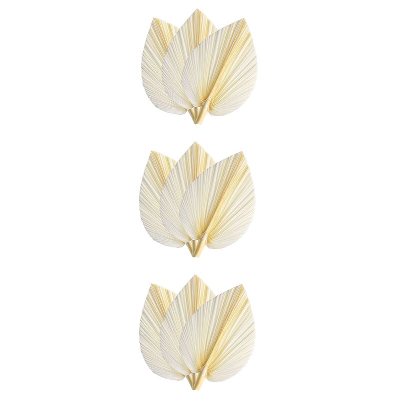 Palm Leaf Dried - Large White Dried Palm Leaves -