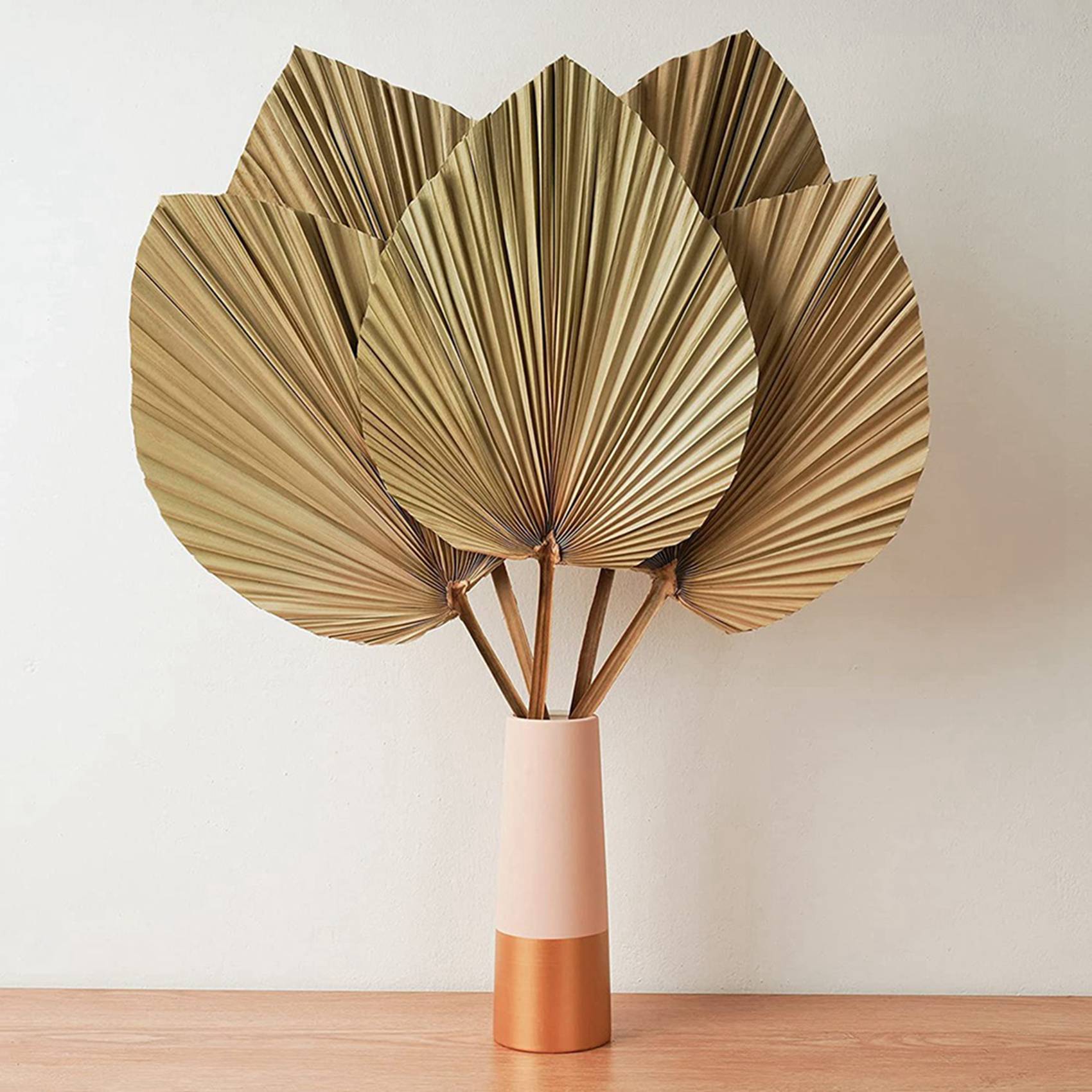 Palm Leaf Dried - Dried Palm Leaves Room Decor 10
