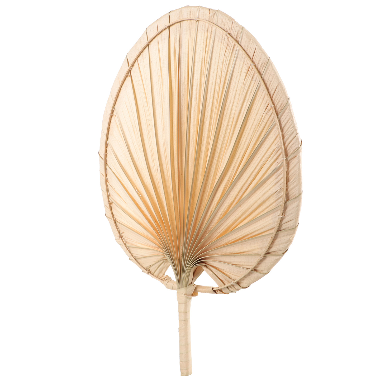 Dried Palm Leaf Hand Fan Chine - Palm Leaf Dried recension och pris
