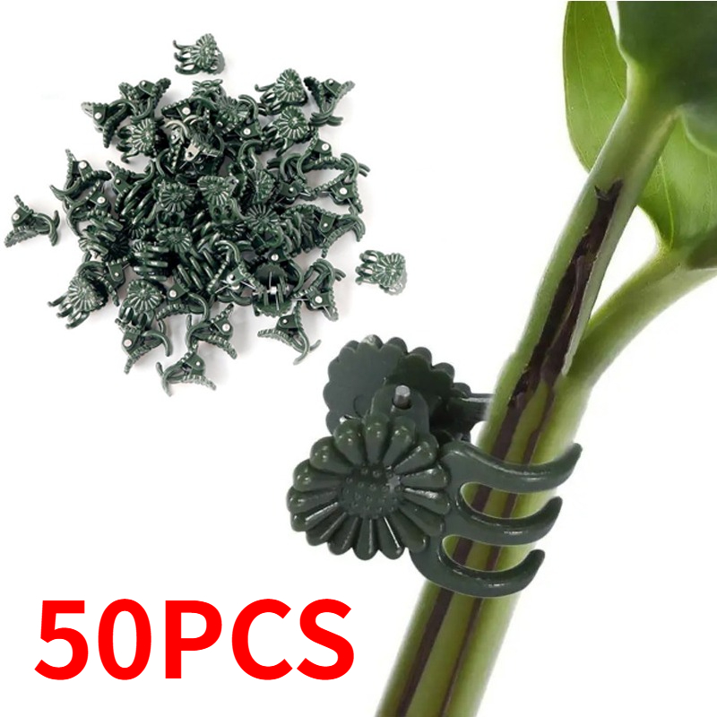 50PCS 5-Claw Dark Green Plant  - Florist Supply Bulk recension och pris