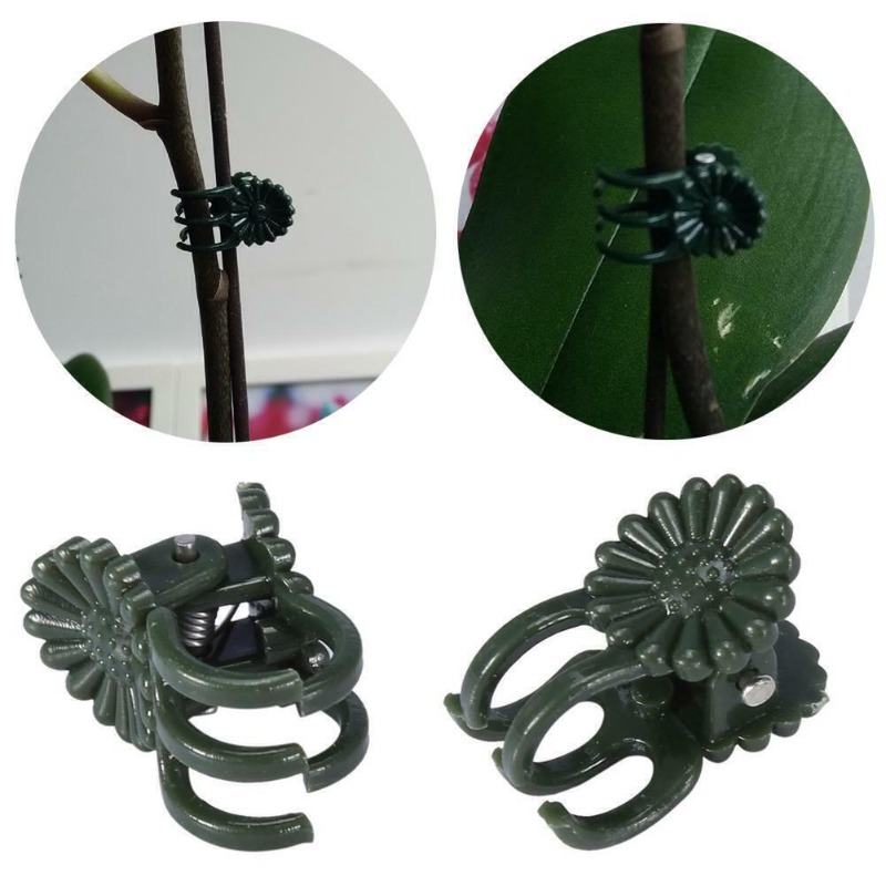 50PCS 5-Claw Dark Green Plant  - Florist Supply Bulk recension och pris