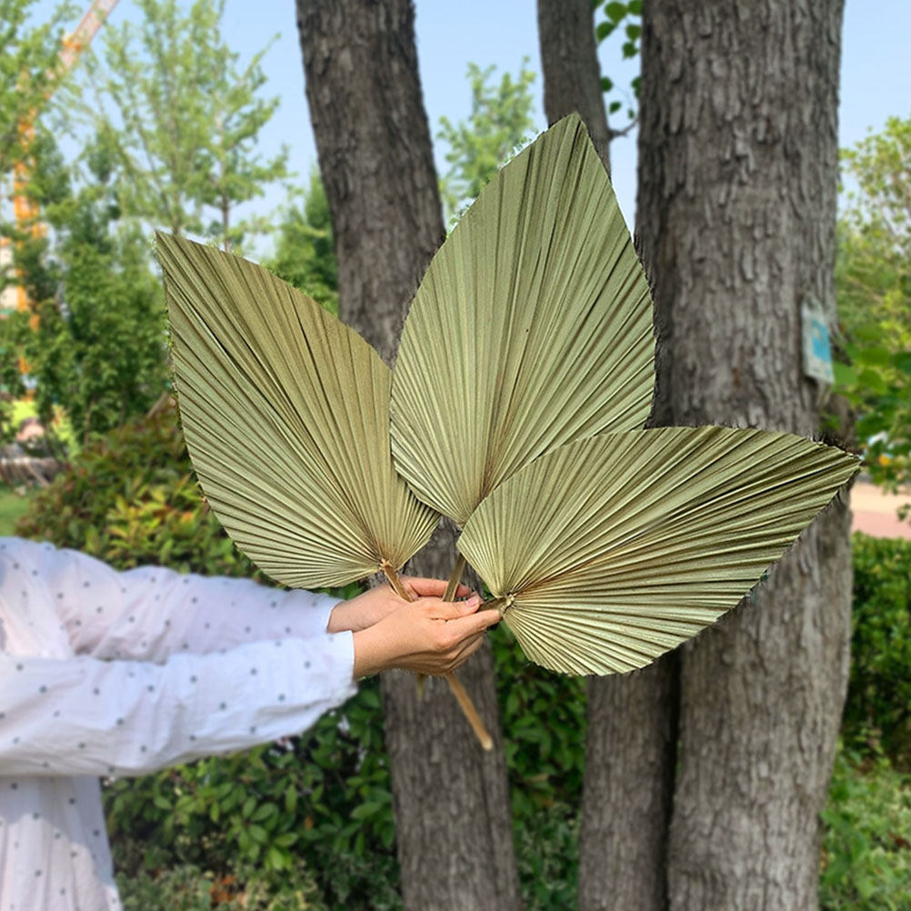 1Pcs Natural Palm Leaf Dried O - Palm Leaf Dried recension och pris