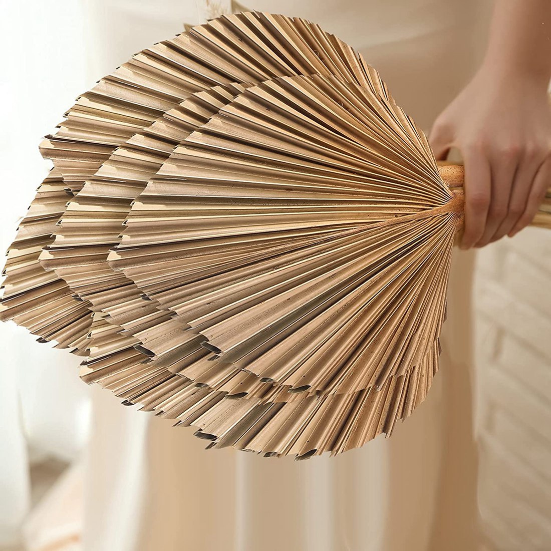 5Pcs Natural Dried Palm Leaves - Palm Leaf Dried recension och pris
