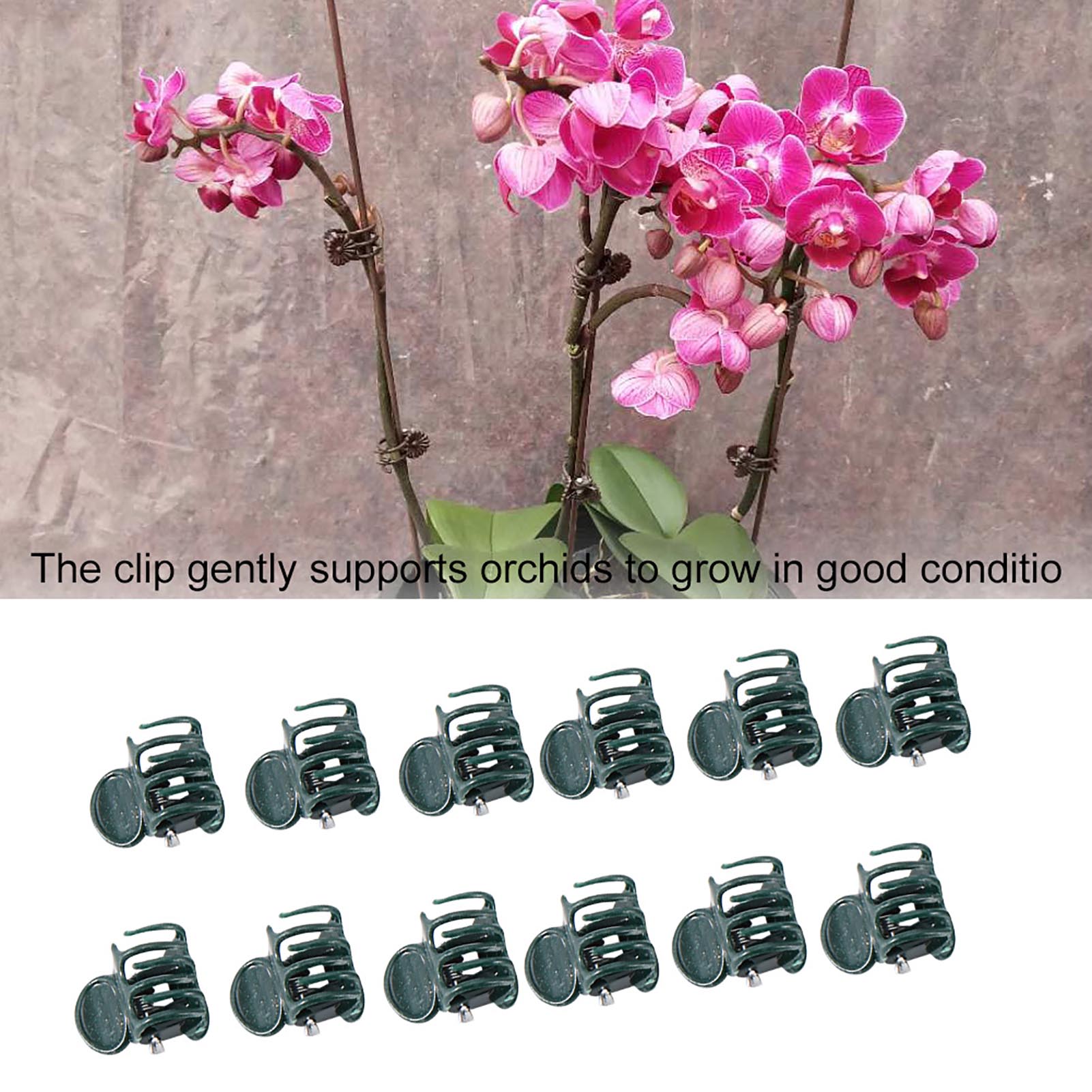 100pcs Mini Plant Clips Garden - Florist Supply Bulk recension och pris