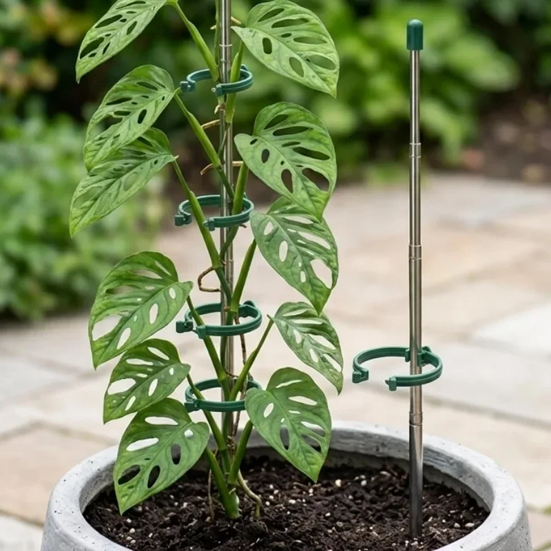 5/1PCS Retractable Plant Suppo - Florist Supply Bulk recension och pris