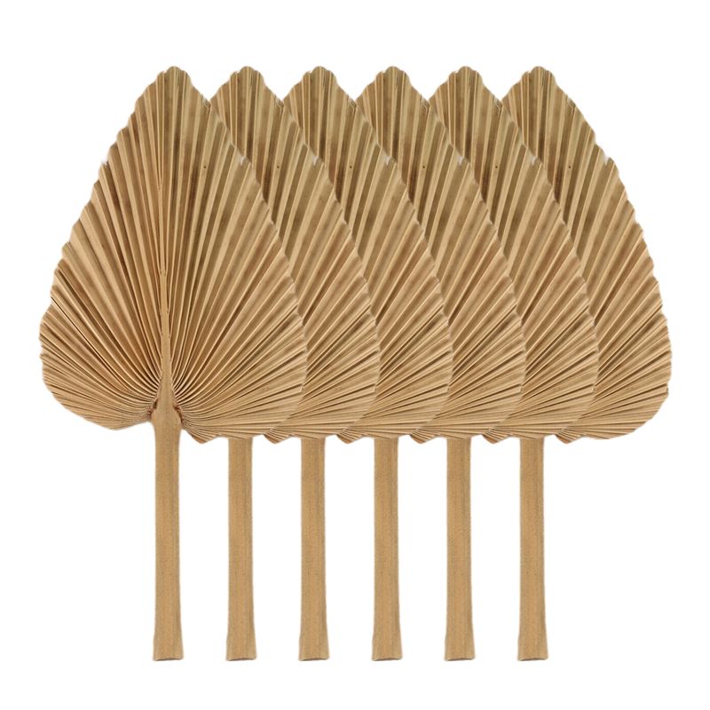 AT84-6PCS Dried Palm Leaves Na - Palm Leaf Dried recension och pris