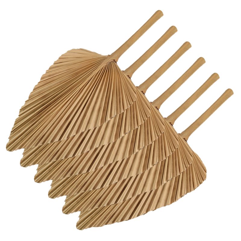 AT84-6PCS Dried Palm Leaves Na - Palm Leaf Dried recension och pris