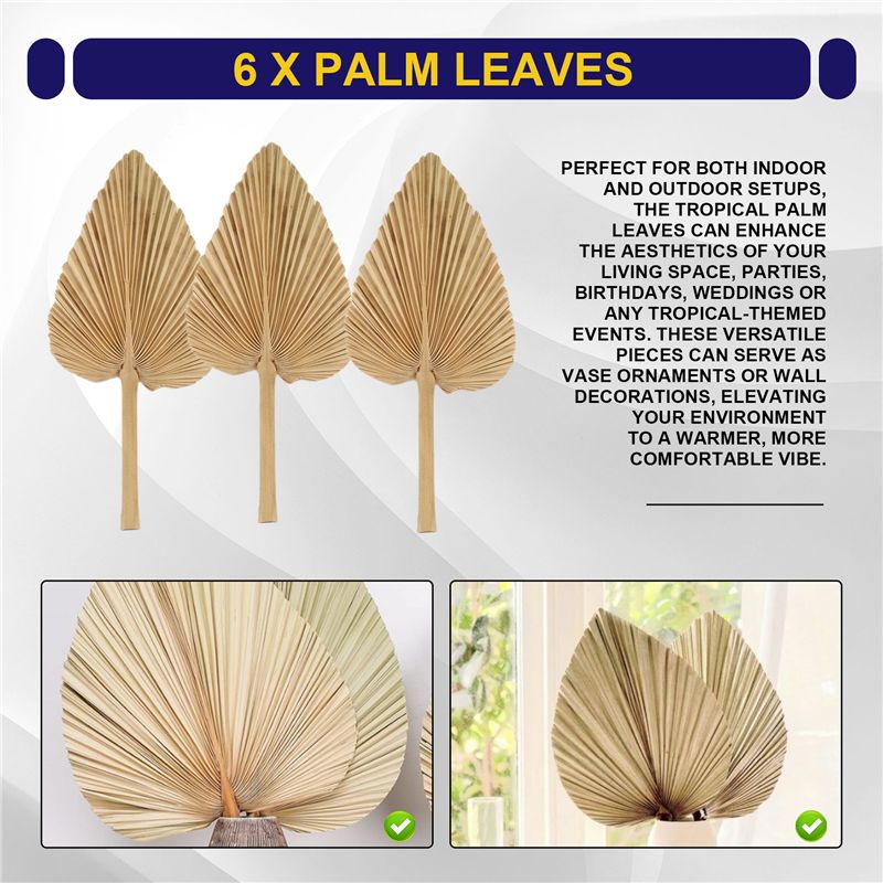 AT84-6PCS Dried Palm Leaves Na - Palm Leaf Dried recension och pris