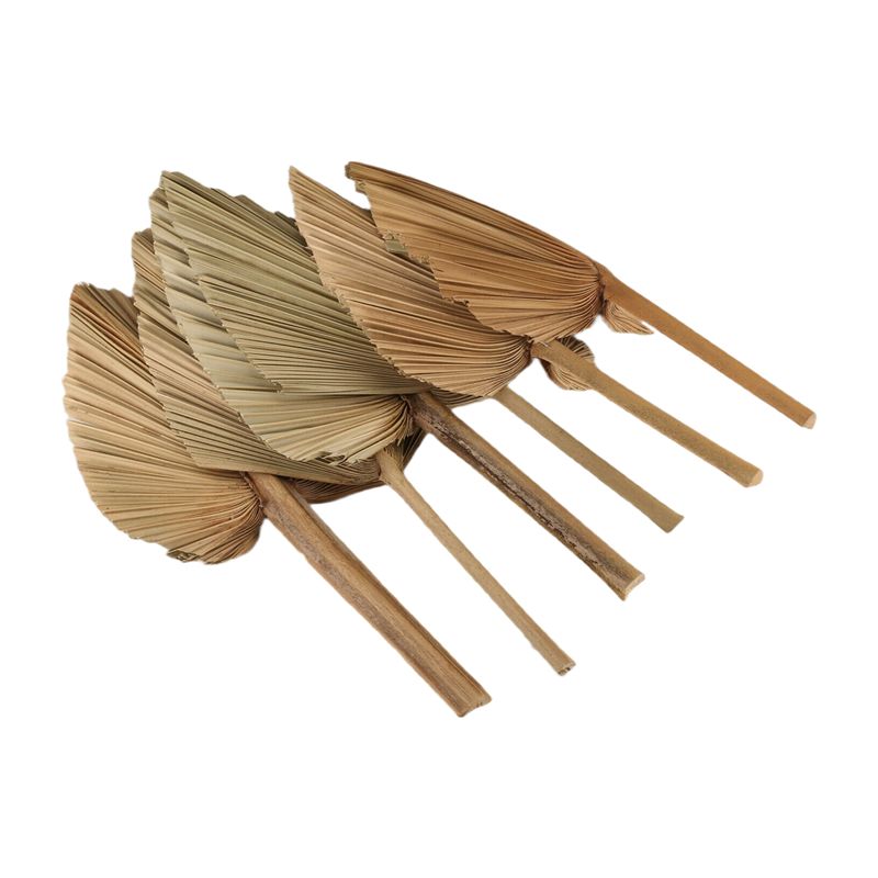AT84-6PCS Dried Palm Leaves Na - Palm Leaf Dried recension och pris