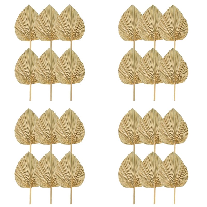 【CHRISTMAS 】24PCS Dried Palm L - Palm Leaf Dried recension och pris