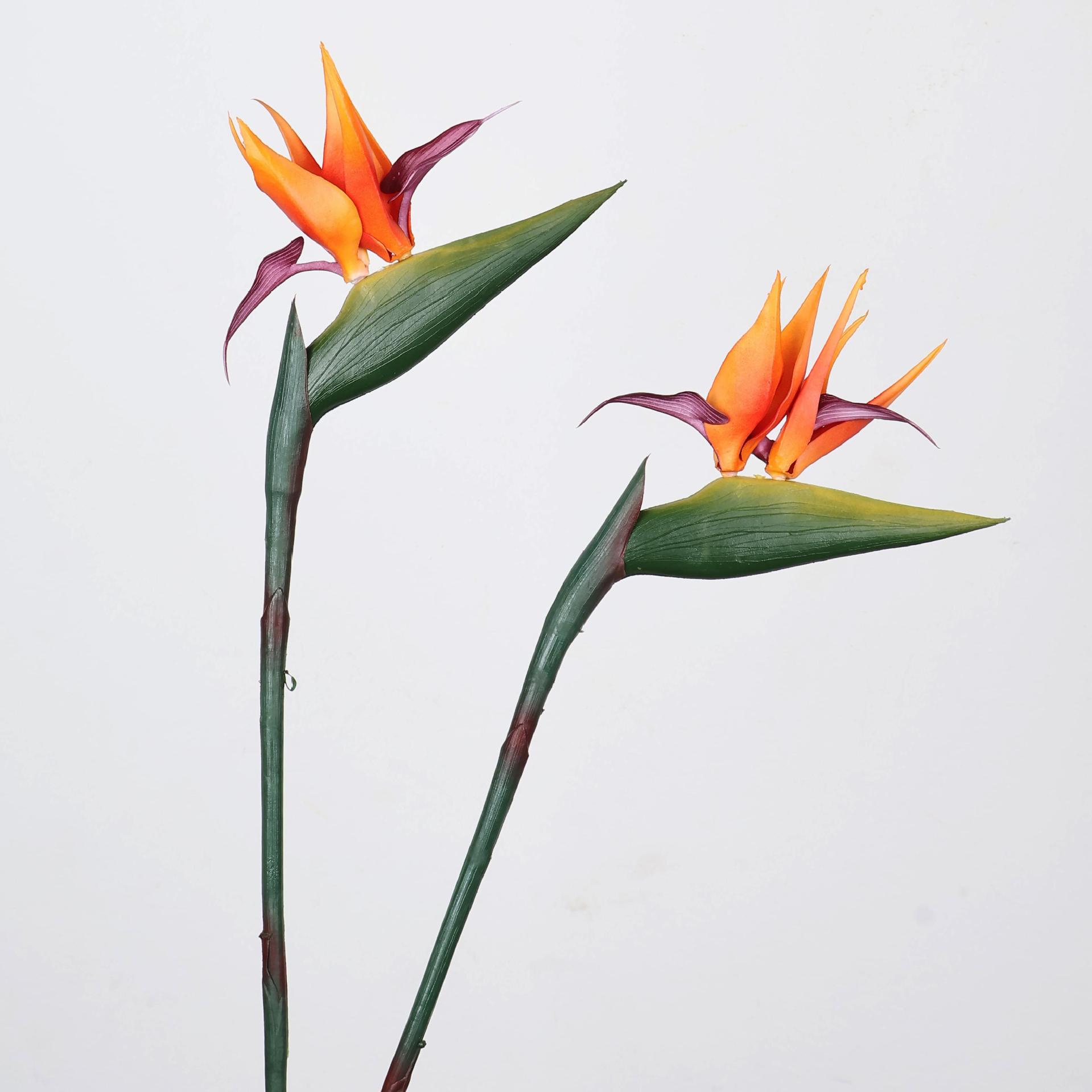 33 Inch Artificial Bird Of Par - Florist Supply Bulk recension och pris