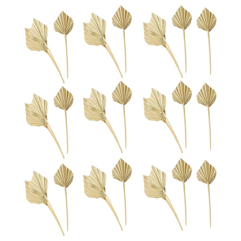 AS60-30 Pcs Boho Dried Palm Sp - Palm Leaf Dried recension och pris
