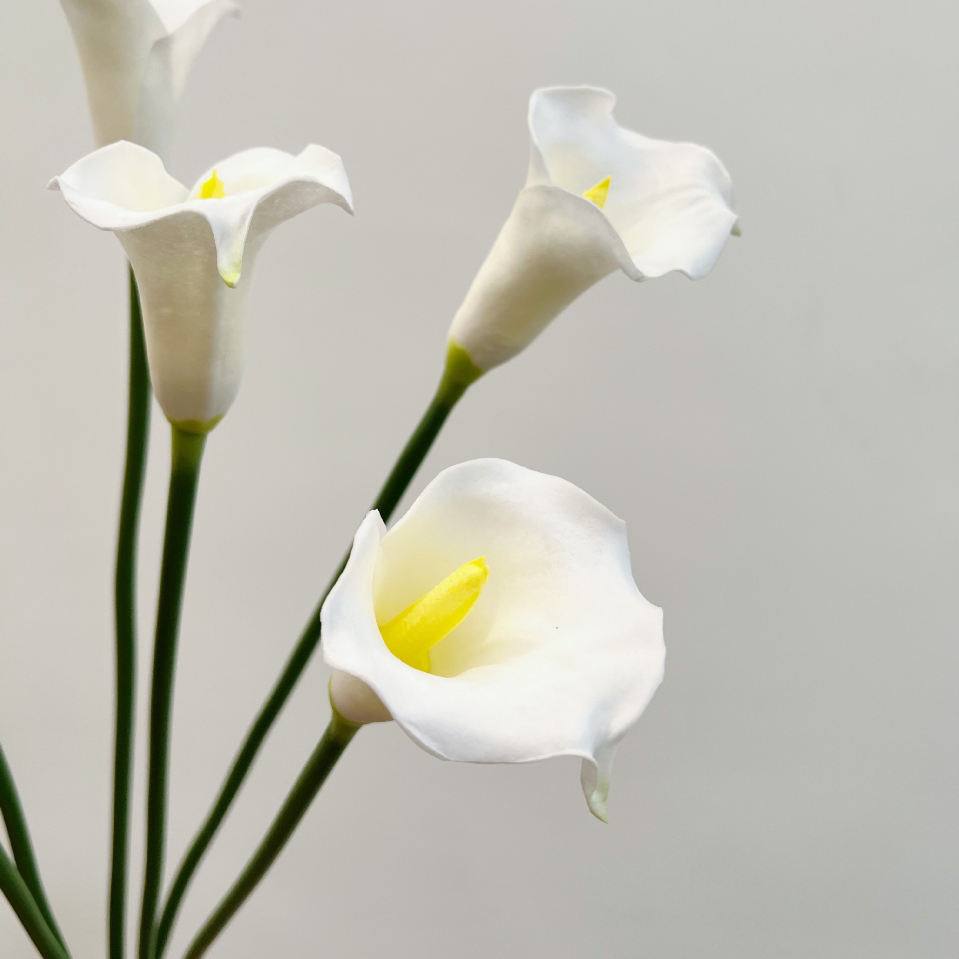 26 Inch Single Stem Crescent C - Florist Supply Bulk recension och pris
