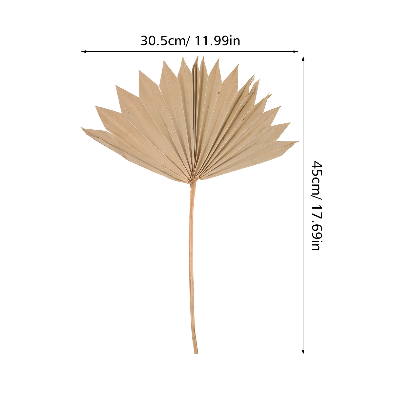 4Pcs Dried Palm Leaf Ornament  - Palm Leaf Dried recension och pris