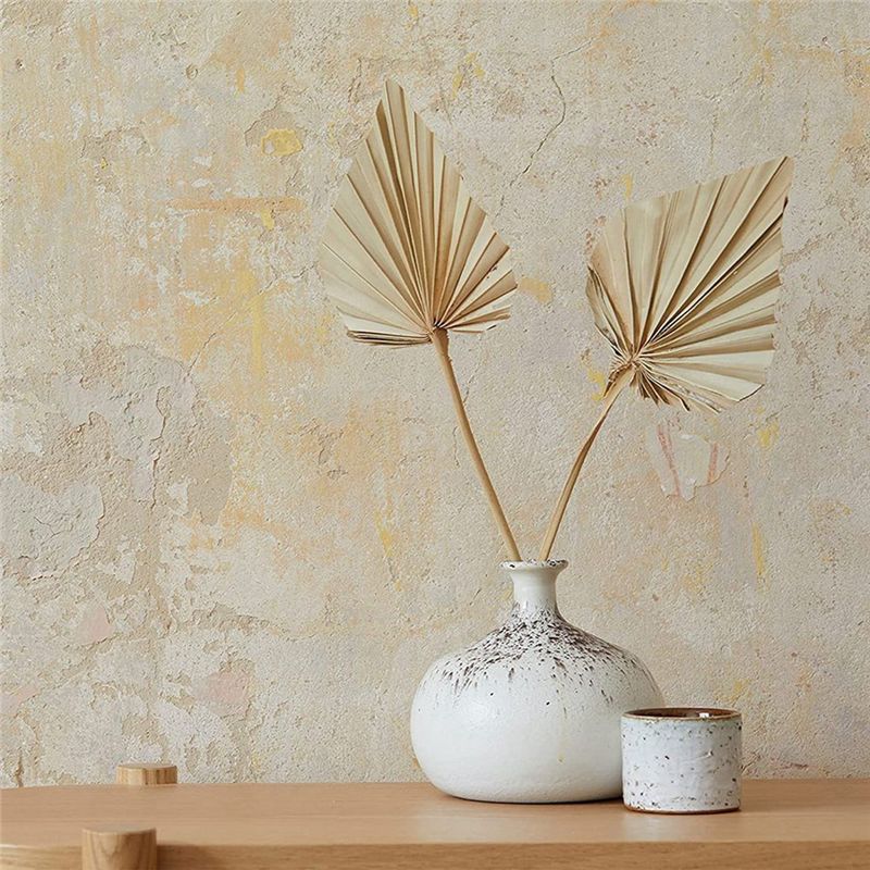 A36T-30 Pcs Boho Dried Palm Sp - Palm Leaf Dried recension och pris