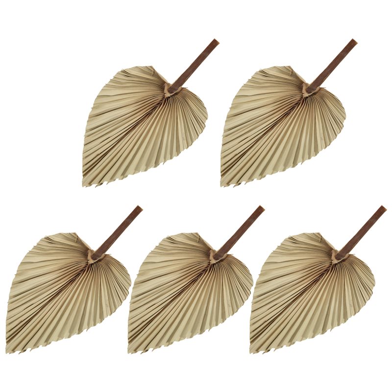 SEWS-5Pcs Natural Dried Palm L - Palm Leaf Dried recension och pris