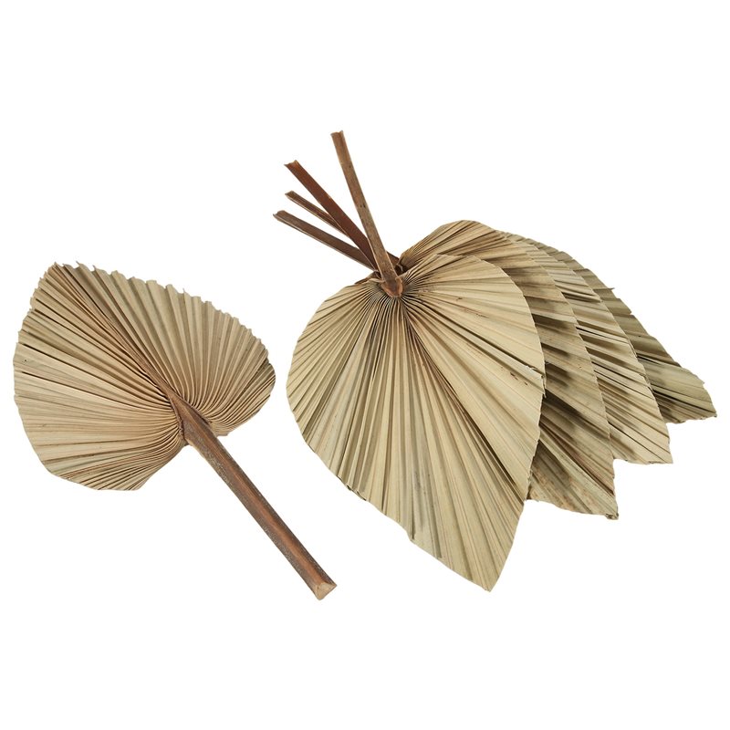 SEWS-5Pcs Natural Dried Palm L - Palm Leaf Dried recension och pris