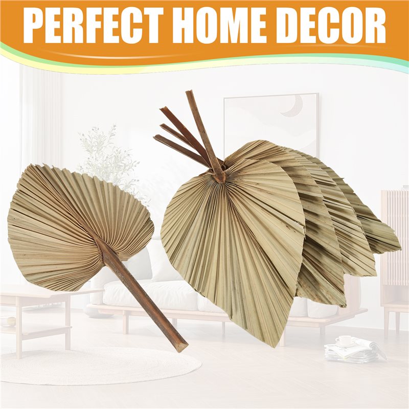 SEWS-5Pcs Natural Dried Palm L - Palm Leaf Dried recension och pris
