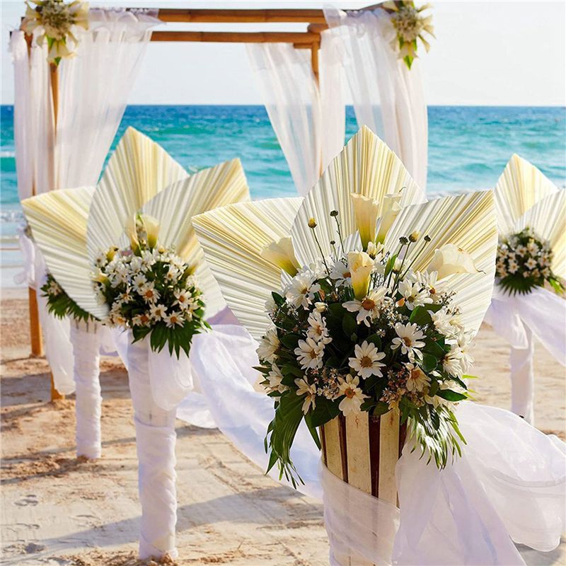 Large White Dried Palm Leaves  - Palm Leaf Dried recension och pris